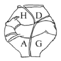 Horsham + District Archaeological Society 